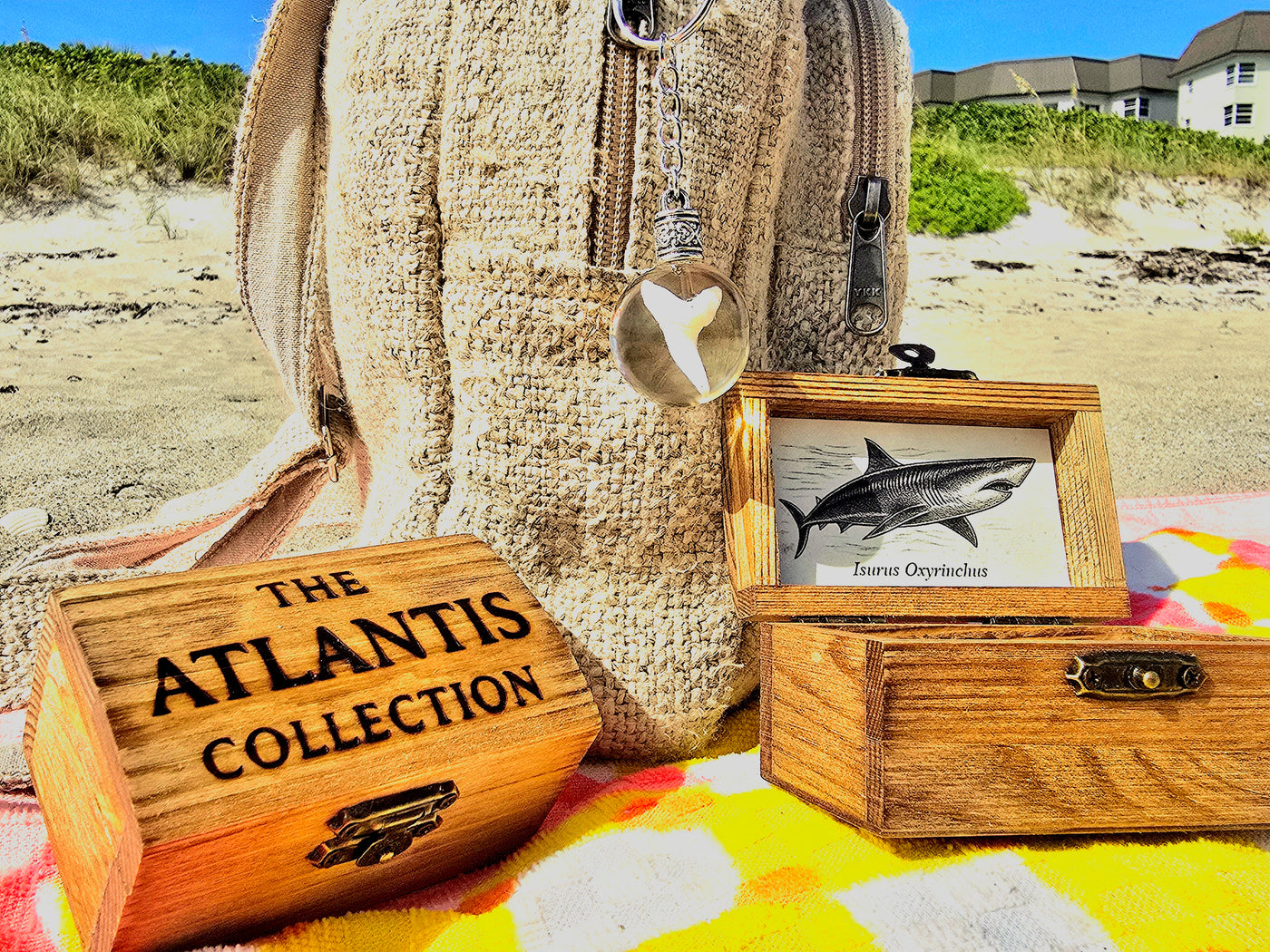 Mako Shark Tooth Keychain with mini wooden treasure chest packaging
